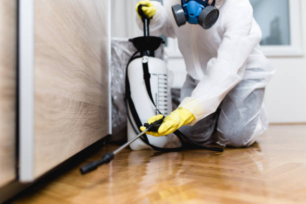 Best Ant Control Services  in Marlboro Village, MD