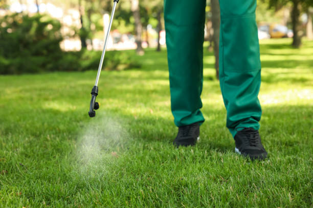Best Best Pest Control Companies  in Marlboro Village, MD