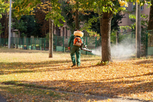 Best Rat Extermination Near Me  in Marlboro Village, MD