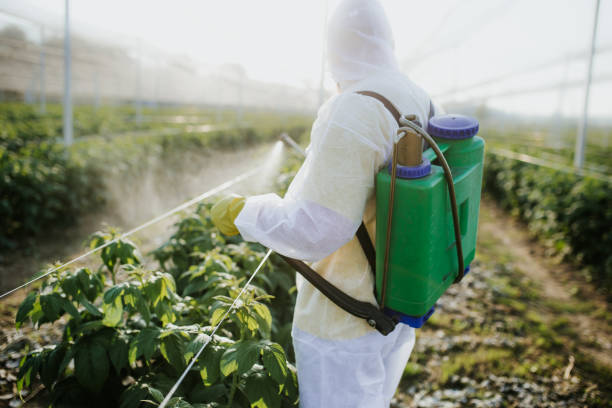 Best Wildlife Control Services  in Marlboro Village, MD